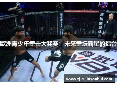 欧洲青少年拳击大奖赛：未来拳坛新星的擂台