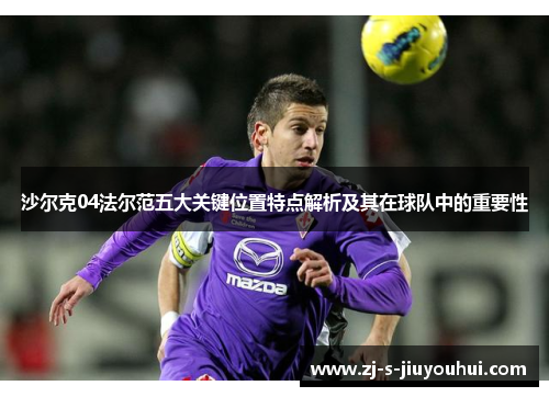 沙尔克04法尔范五大关键位置特点解析及其在球队中的重要性