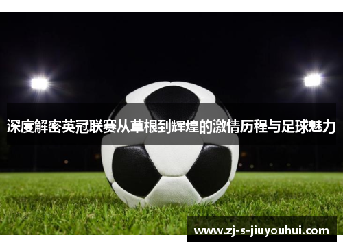 深度解密英冠联赛从草根到辉煌的激情历程与足球魅力